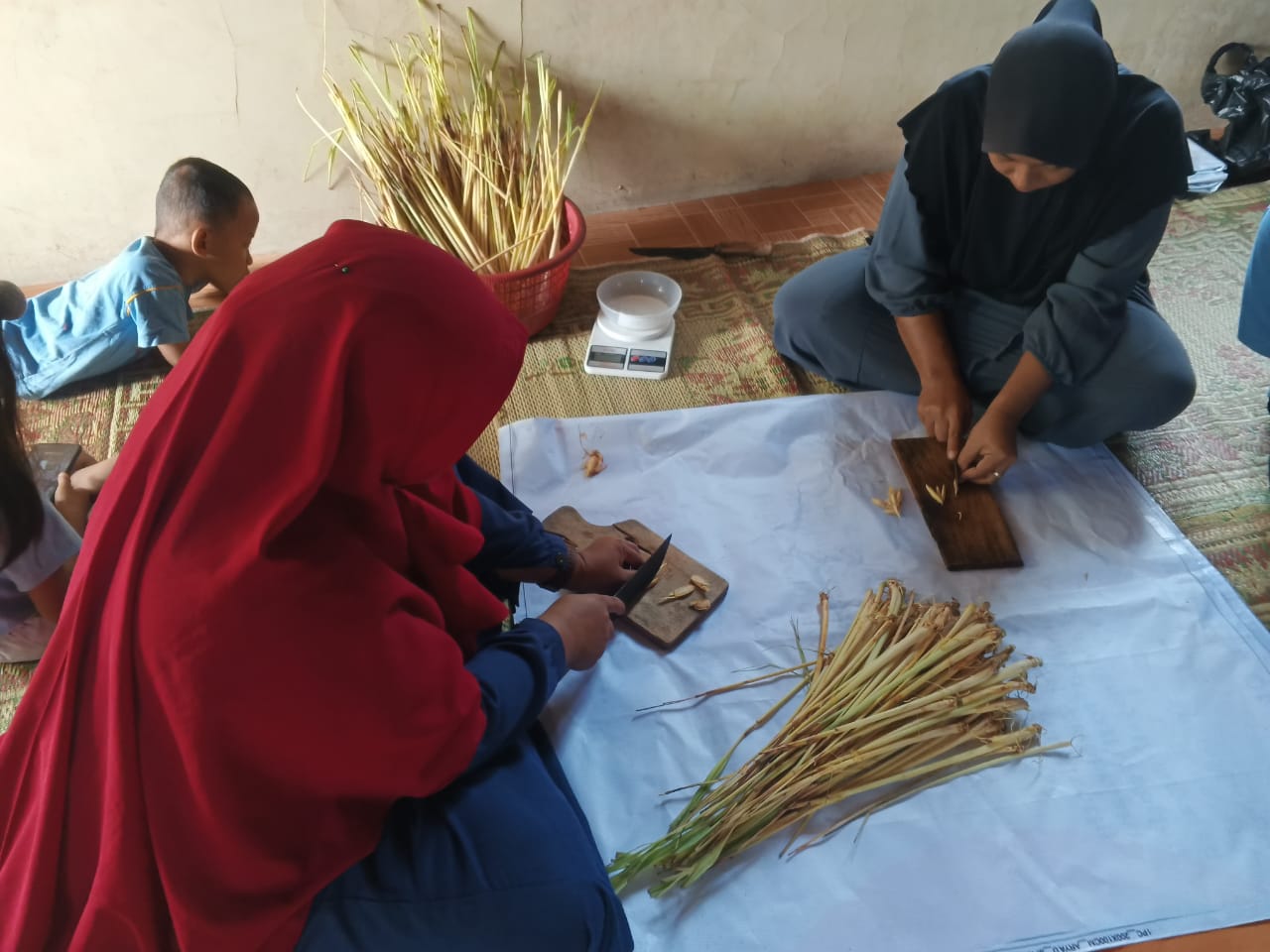 Kegiatan ProKlim 11